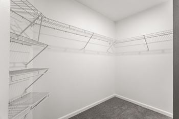 A room with a grey carpet and metal shelving units